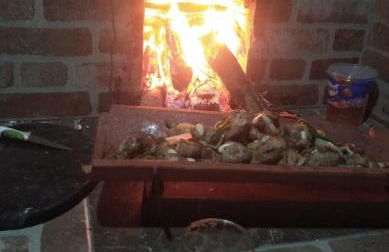 Recanto da Tia Lena - Foto 16