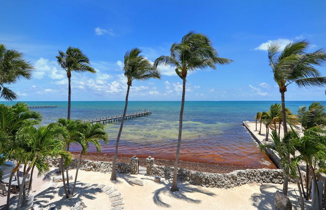 Luxury Beachfront Home With Pool In Islamorada 3 Bedroom Home by RedAwning - Photo 26