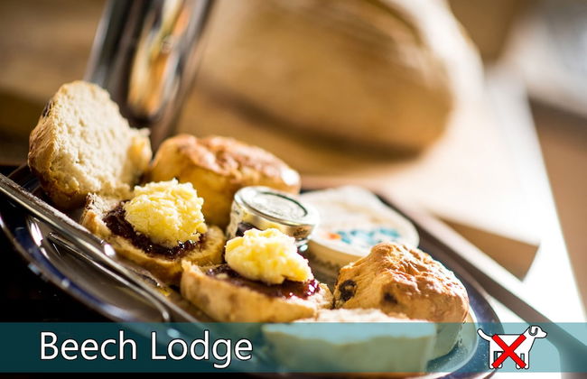 St. Tinney Farm - Photo 65