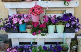 Biggy's Apartment - Foto 35