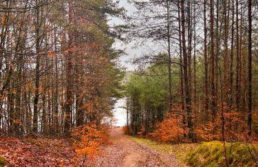 Ostoja Bukowo 12,2 chata u szôłtësa - Foto 29