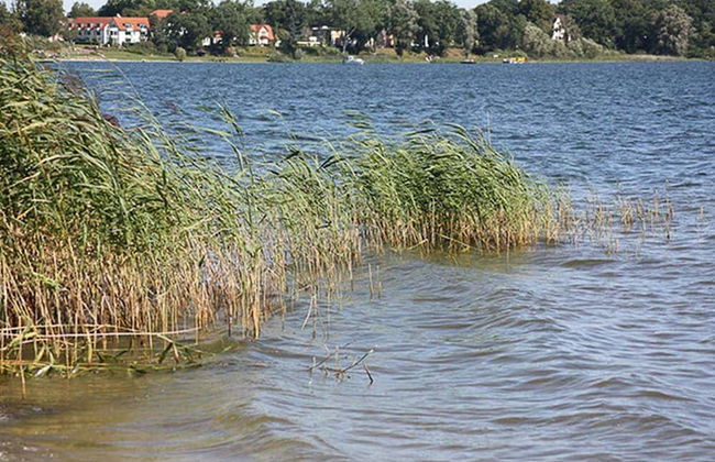 Appartementpark Seeblick - Photo 39