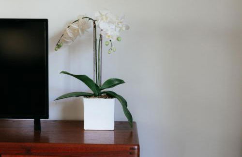 The Observatory Annexe - Foto 10