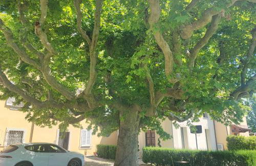 Appartamento in Villa Aulla - Foto 44