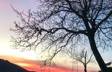 Il Borrino - Foto 30