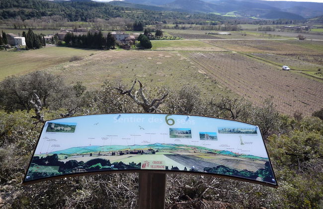 Le Gîte Vigneron - Foto 13