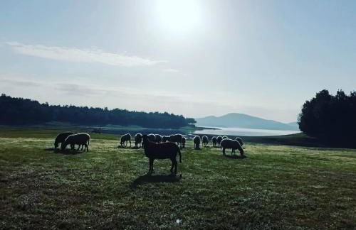 Cosy lake house, μια ανάσα πριν τη λίμνη - Photo 31