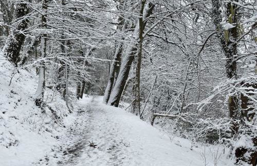 Lakeside Comfort with Balcony - Foto 43