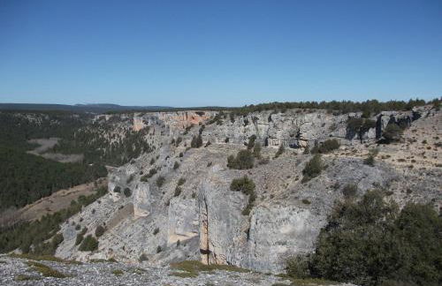 Fuente del Pino Cañón de Río Lobos - Foto 32