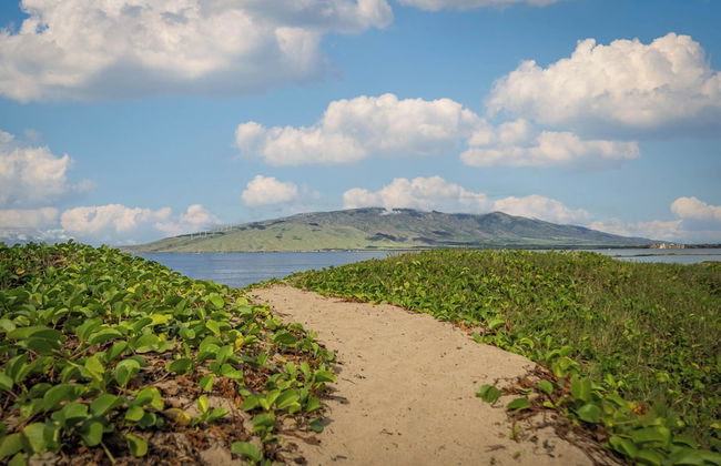 Koa Lagoon 506 - Photo 23