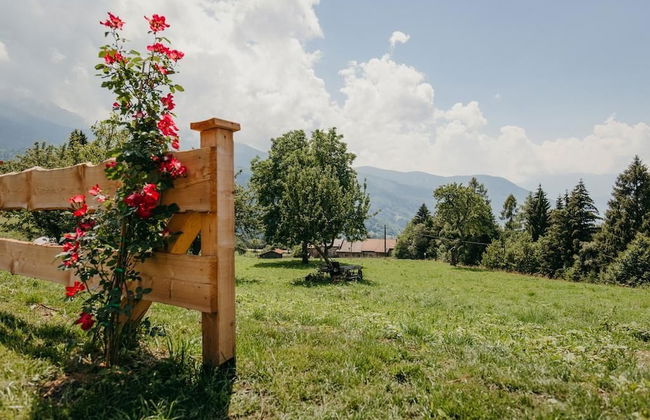 Maso Del Fieno - Photo 27