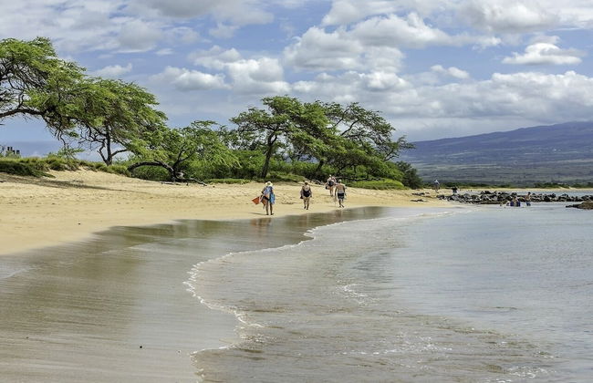 Maalaea Banyans 217 1 Bedroom Condo - Photo 38