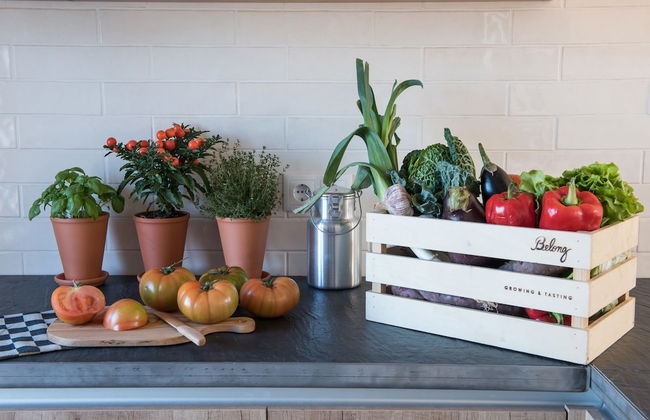 Craveiral Farmhouse by Belong - Foto 30