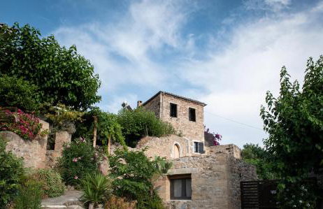 PositiveSpace Olive Tree - Foto 1