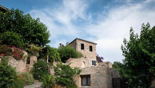 PositiveSpace Olive Tree - Foto 1