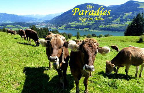 Schöne Ferienwohnung im Allgäu Lauben bei Kempten Urlaub Unterkunft FeWo Bergblick 70qm - Foto 28