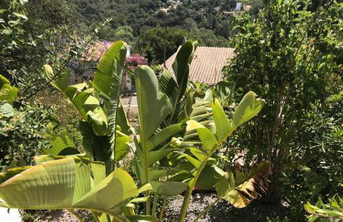 Villa zeezicht - Foto 64