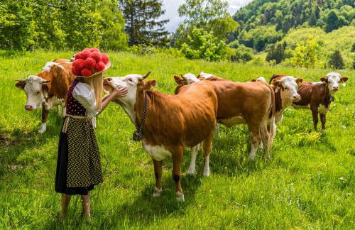 Feriendomizil am Rössleberg, Hinterzarten - Foto 33