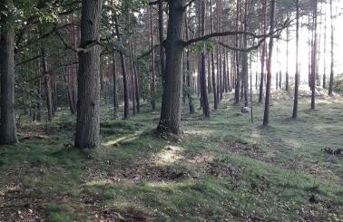 Apartament Pod Orzechem - Foto 27