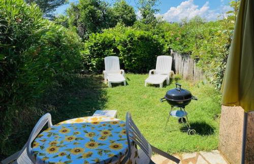 Location climatisée, piscine, animaux acceptés, jardin clôturé, parking, provence , wifi - Foto 20