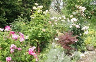 IVY COTTAGE - Foto 16