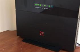 i tulipani - Foto 51