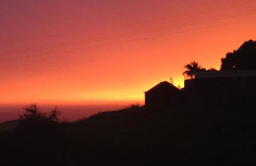 Blooming Botanic Houses - Foto 22