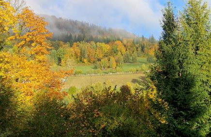 Chatka Bratka - Foto 14