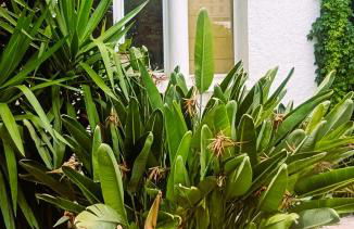 Grande chambre studio 23 m2 avec salle de bain, WC et kitchenette - Foto 6