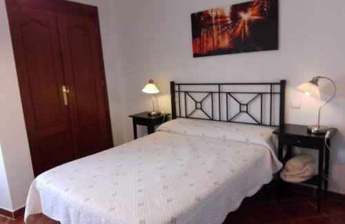 EL VIEJO OLMO - Foto 12