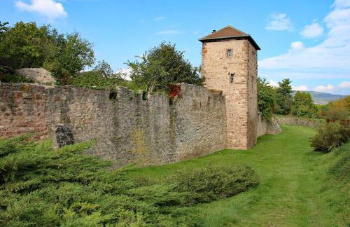Gîte La Maison Bleue - Foto 16