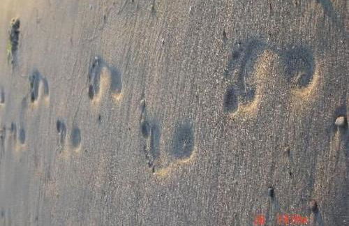 Apartment 2 by Interhome - Photo 7