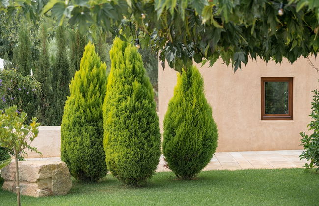 Safragell Ibiza Suites & Spa - Foto 65