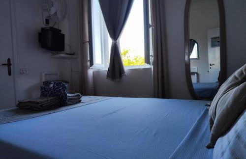 Pino Marino - Foto 12