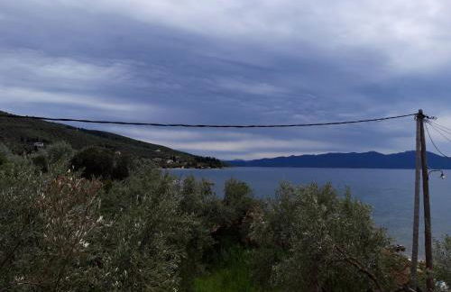 Koutadelias rooms - Foto 66