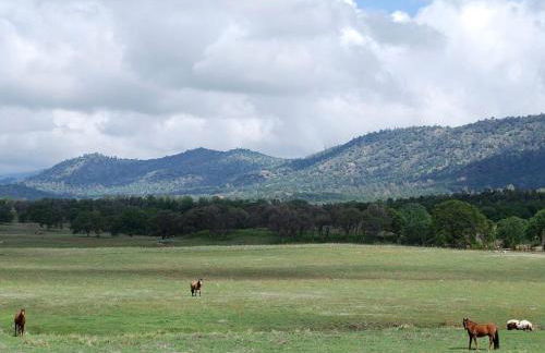 Quiet Cottage Rental for Two in Horse Country near Yosemite National Park Gateway, California - Foto 26