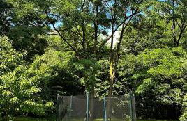 Uroczy dom Wszebory - Foto 9