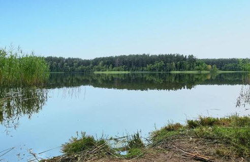 1 Bedroom Pet Friendly Home In Rekowo - Foto 8