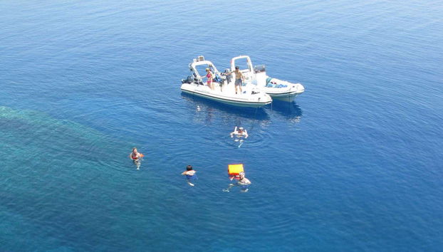 Snorkeling in Schinias Bay - Foto 5