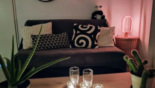 Le Salluste cosy T2 with balcony in Strasbourg - Foto 5