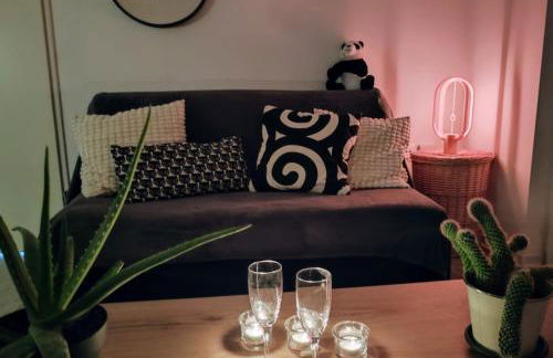 Le Salluste cosy T2 with balcony in Strasbourg - Foto 5