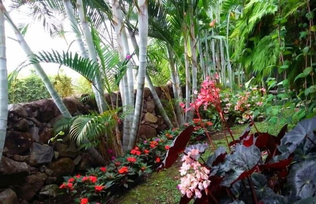 Cabañas Villa San Miguel - Photo 28