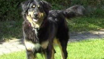 Holiday Home Charmantes Ferienhaus in Zandt mit Garten by Interhome - Foto 3