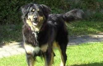 Holiday Home in Zandt mit Kleiner Terrasse by Interhome - Foto 3