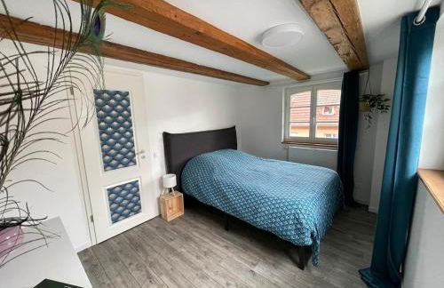 Cottage A day in Strasbourg - Foto 9