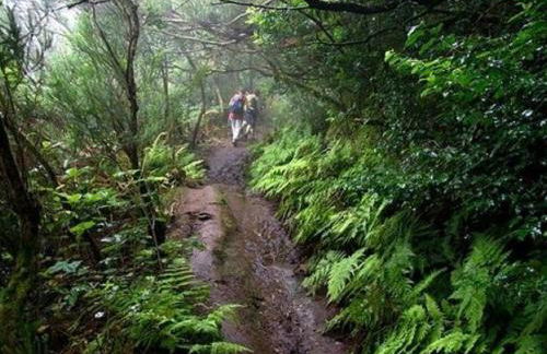 Casa campo y Playa Taganana - Foto 6