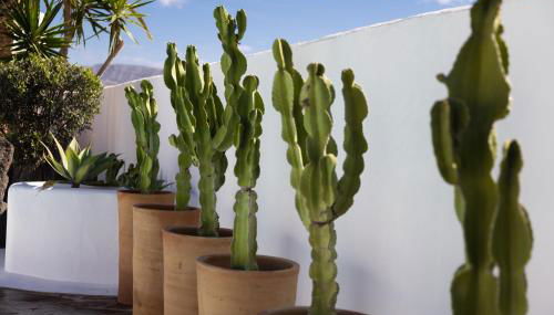 Casa Margarita Soo - Foto 2