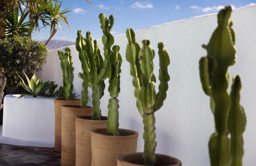 Casa Margarita Soo - Foto 2