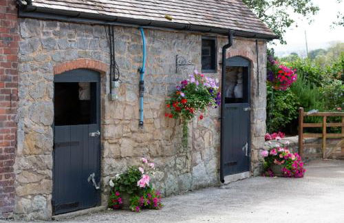 The Caradoc - Foto 7