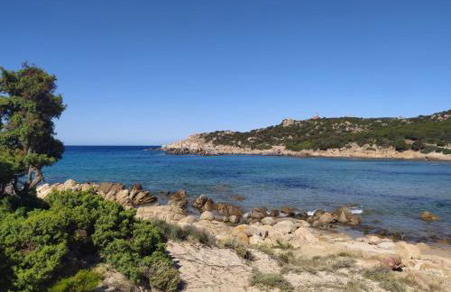 Fisky House - Foto 34